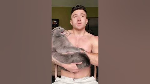 Is my cat too aggressive? #cat #pet #comedy #cute #love #shorts #petsofyoutube