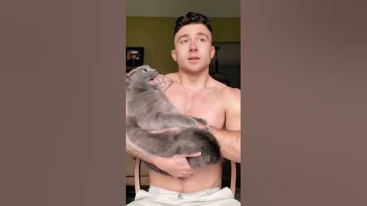 Is my cat too aggressive? #cat #pet #comedy #cute #love #shorts #petsofyoutube