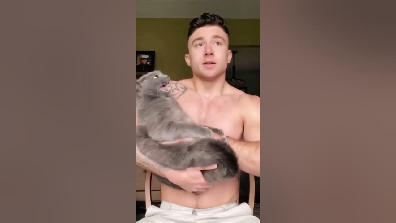 Is my cat too aggressive? #cat #pet #comedy #cute #love #shorts #petsofyoutube