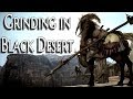 [BDO] Grinding Effectively in Black Desert (How to Maximize Your Silver per Hour)