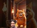 แมวส้มจอมวางแผน #แมว #funny #cat #แมวน่ารัก #funnycats