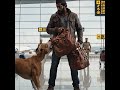 💥 Dog hero | Epic Airport Dog Rescue Chase | Dog vs Thief Cinematic Action