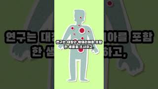 반려견과 항생제 내성균  #science #과학 #과학상식 #의료정보 #의학 #수의학 #반려견 #반려견일상 #vet #medical