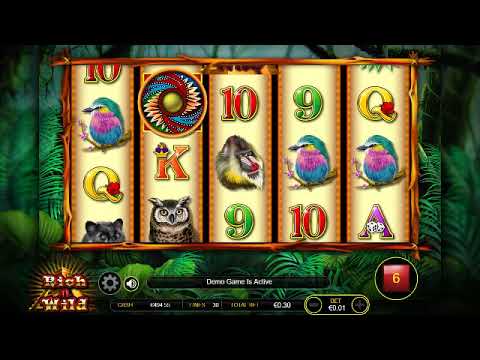 RICH N WILD (FREE SLOT MACHINE SIMULATOR)