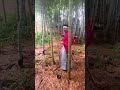 There is nothing that cannot be cut with a sword!Can you cut bamboo?
