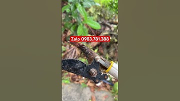 Kéo cắt cành trên cao , dùng bền tiện lợi giá rẻ