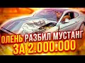 дтп с ford mustang | Неделя оленей на дороге!