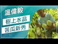 草地狀元-夏天就要這樣吃 水晶苦瓜VS紅毛筍(20170612播出)careermaster / Bitter Gourd & Bamboo