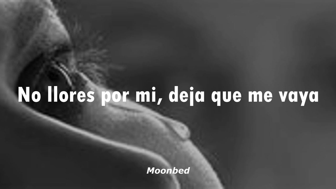 Enrique Iglesias No llores por mí (Letra) YouTube Enrique Iglesias No llores por mí (Letra) YouTube