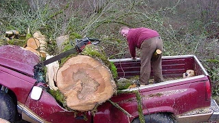 Tree Cutting Fails And Idiots With Chainsaws 2