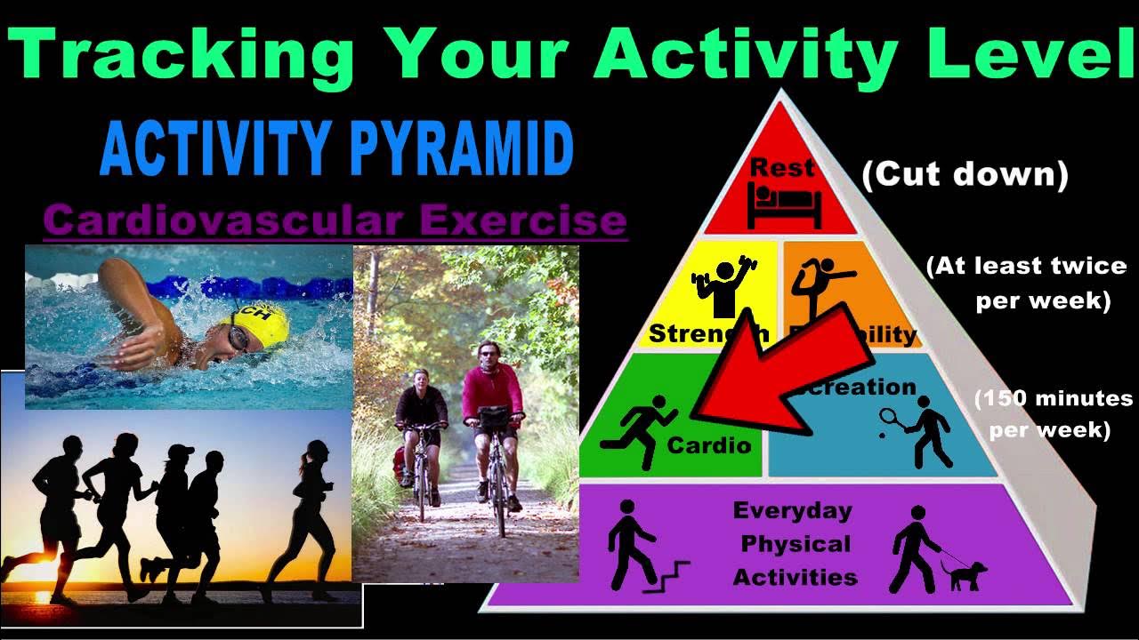 Activity level. Physical activity Level. Physical activities топик. Пирамида физической активности на английском. Physical minute картинка.