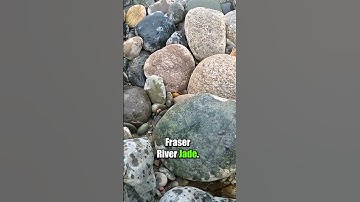 Fraser River Jade!
