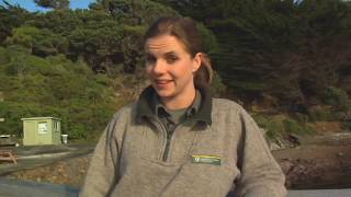 Meet the Locals: Matiu/Somes Island