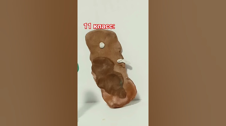 1 класс vs 11 класс.Анимация из пластилина.