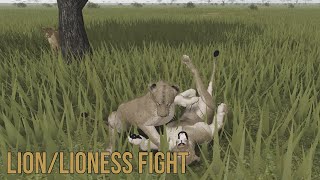 Roblox: LION/LIONESS FIGHT (Testing C)