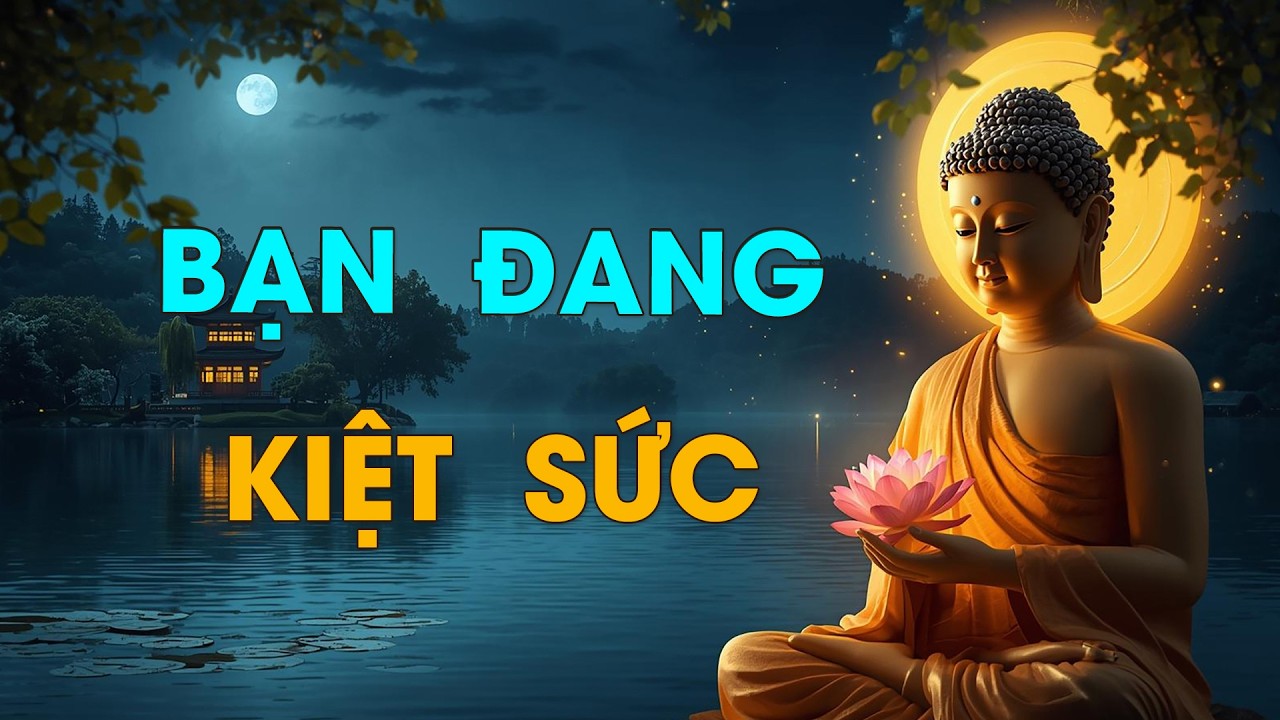 Khi Bạn Quá Mệt Mỏi Với Cuộc Sống - Có Phải Đã Đến Lúc Dừng Lại Nghe Lời Phật Dạy Để Tâm Nhẹ Hơn