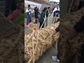 Manna Kabe Adinawanam Manna Kabe Adinawanam