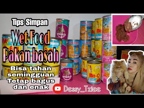 Video: Cara Beralih Dari Makanan Kucing Kering Ke Kaleng