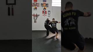 EFICAZ e sem firulas 🎯 Kung Fu RAÍZ parte 1- #kungfu #shaolin #mma