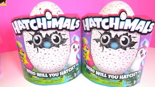 Abriendo Hatchimals Los Juguetes De I