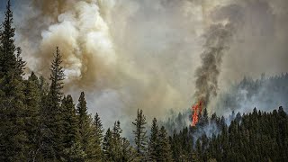 Varios muertos en la lucha contra incendios forestales en México