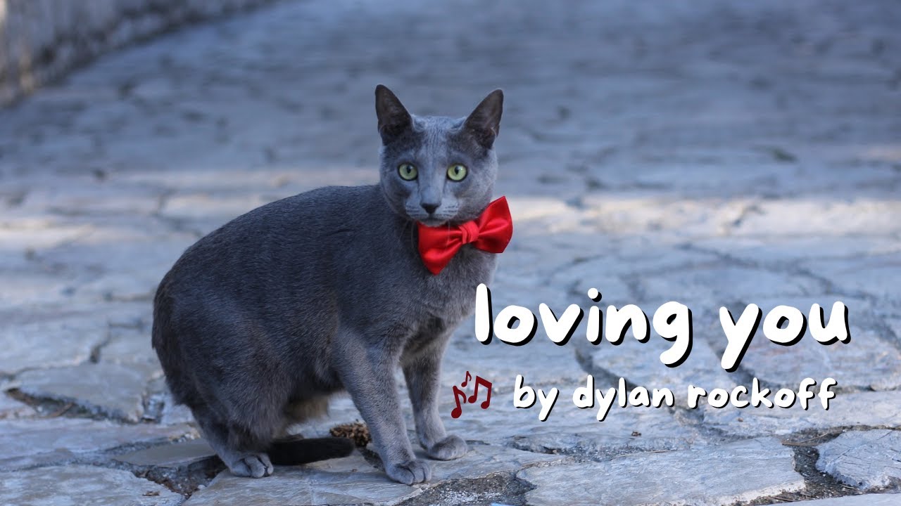Loving You by Dylan Rockoff | Chill Music Playlist  🐈  1 Hour Loop  🐈