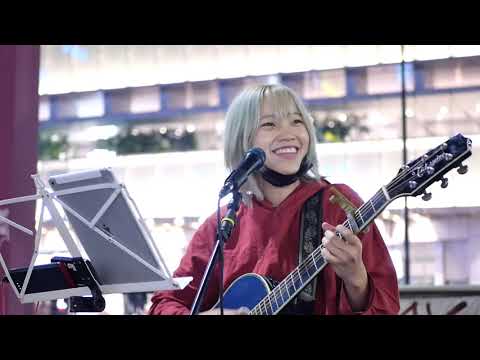 心が千切れてしまいそうな　#かりゆし58 　#鳴呼、人生が二度あれば　#あくあゆい