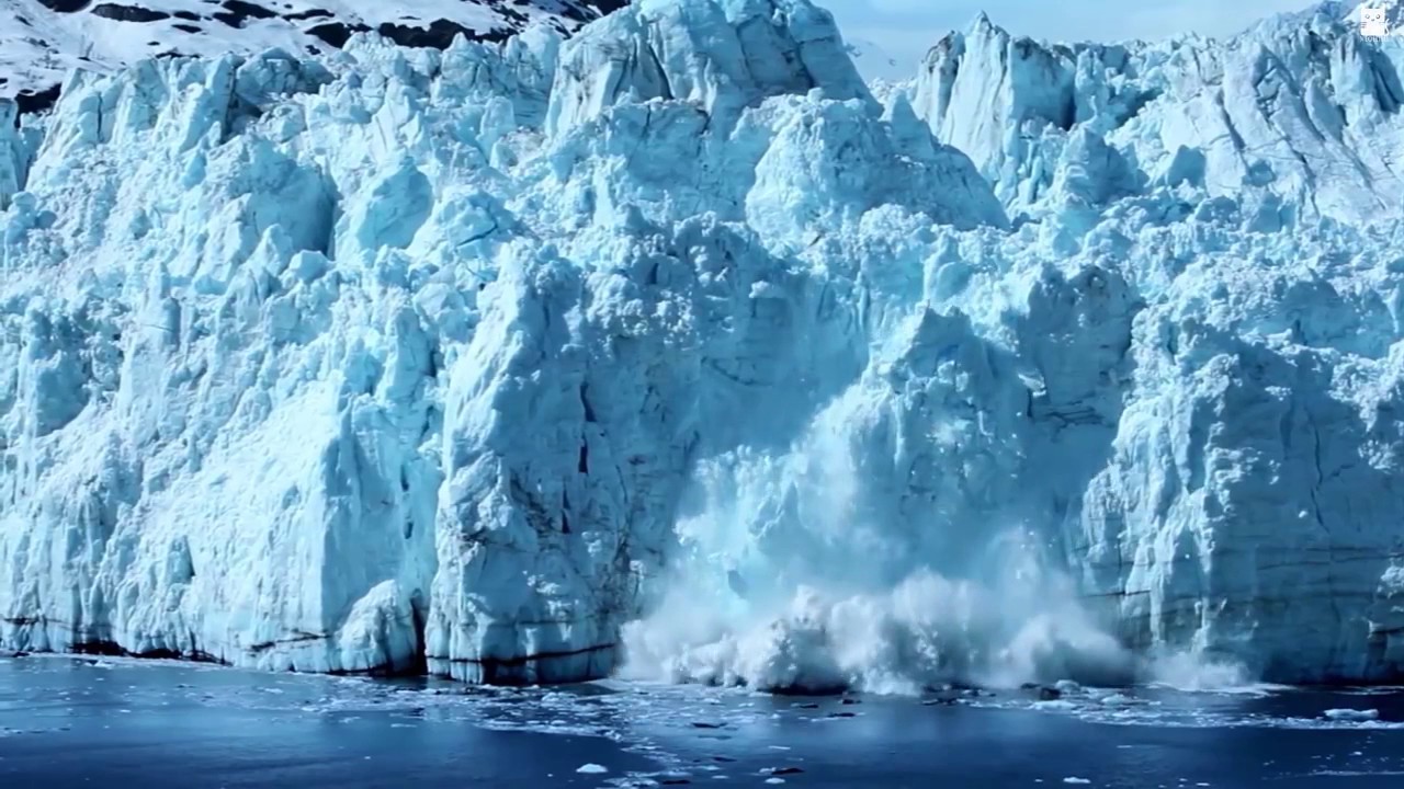 Vietsub Nature Is Speaking – Liam Neeson is Ice Conservation ...