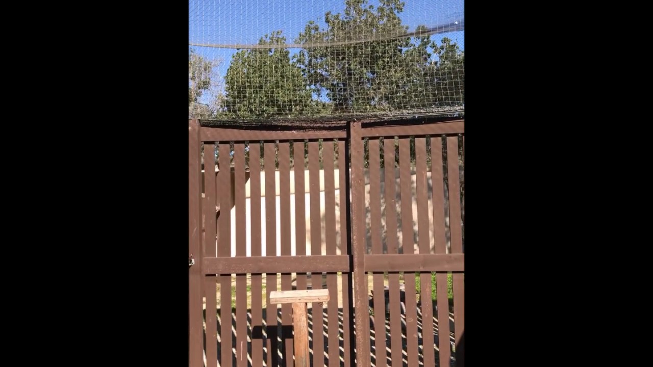 camera iphone 8 plus apk Captive Eagles