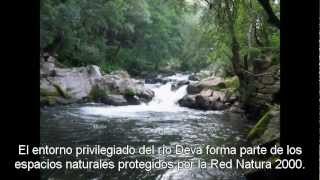 Casa Rural O Coto
