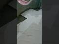 floor tiles Design \\ tiles Design #shorts #shortsfeed #shortvideo tile fitting video #mojamg