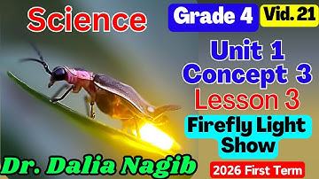 ساينس رابعة ابتدائى ترم اول 𝟐𝟎𝟐𝟔   𝑺𝒄𝒊𝒆𝒏𝒄𝒆 𝗚𝗿𝗮𝗱𝗲 𝟰 𝐂𝐨𝐧𝐜𝐞𝐩𝐭 3  𝐋𝐞𝐬𝐬𝐨𝐧 3