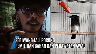 new collection | SERIWANG bird shroud rope ' material selection and care part#1