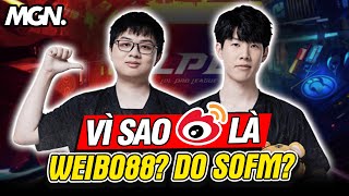 Vì Sao Weibo Gaming Được Mệnh Danh Là Weibo88? - Do SofM hay do TheShy Sa Đéc? | MGN Esports