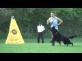 2015 Working Dog Championship Jagr von Wolfstraum obedience