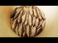 IKAN PEKASAM - How It's Made - Ikan Pekasam