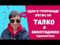 Путешествие в Регар (Турсунзаде) на ТАЛКО (алюминиевый завод) и виноградники Таджикистана.