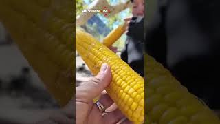 Велотур по Турции - часть 2 #якутия #туризм #турция
