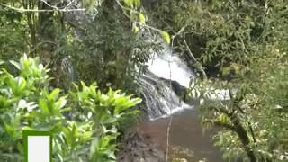 VIVA MISIONES 25 DE MAYO 2014