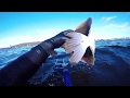 ПОДВОДНАЯ ОХОТА НА КАМБАЛУ / часть 2 / Spearfishing for flounder / part 2