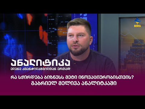რა სჭირდება ბიზნესს მეტი ინოვაციურობისთვის? - გაბრიელ მელივა ანალიტიკაში