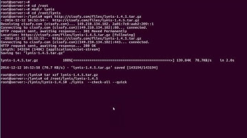 How to Check Vulnerabilities on Linux with Lynis