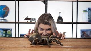 Discovery - RC Tarantula Demo TVC