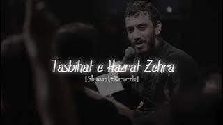 Tasbihat-e-Hazrat Zehra ♪ [Slowed   Reverb] - Mehdi Rasouli