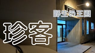 【ラボ】マンスリー課題追加しました！って告知動画です。倉庫型クライミングジムの厄介者も登場…【Bouldering gym】