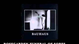 Bauhaus - Rosegarden Funeral Of Sores (with lyrics)