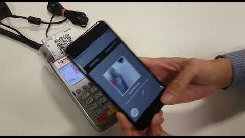 DBS PayLah Payment via NETS terminal