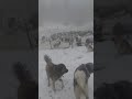 Na Vlašiću se zabijelio snijeg