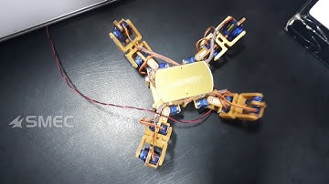 4 Leg Robotic Spider with Artificial Intelligence and IoT