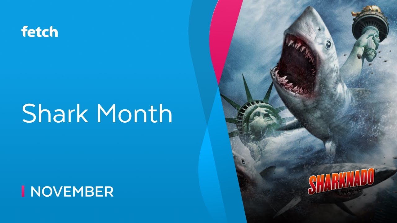 November Shark month YouTube